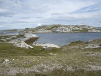 N, Finnmark, Porsanger, Trollholmsund 4, Saxifraga-Willem van Kruijsbergen