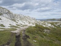 N, Finnmark, Porsanger, Trollholmsund 5, Saxifraga-Willem van Kruijsbergen