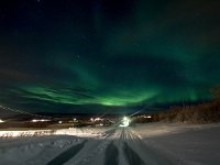 N, Finnmark, Varangerbotn, Meskelv 1, Saxifraga-Bart Vastenhouw