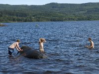 N, Hedmark, Nord-Odal, Austvatn 4, Saxifraga-Jan van der Straaten