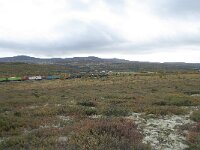 N, Innlandet, Dovre, Fokstumyra 165, Saxifraga-Annemiek Bouwman