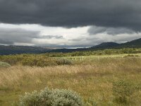 N, Innlandet, Dovre, Fokstumyra 17, Saxifraga-Willem van Kruijsbergen