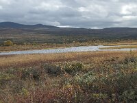 N, Innlandet, Dovre, Fokstumyra 182, Saxifraga-Annemiek Bouwman