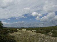 N, Innlandet, Dovre, Fokstumyra 32, Saxifraga-Jan van der Straaten