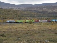 N, Innlandet, Dovre, Fokstumyra 63, Saxifraga-Willem van Kruijsbergen