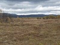 N, Innlandet, Dovre, Valasjoen 20, Saxifraga-Annemiek Bouwman