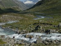 N, Innlandet, Lom, Krossbu 4, Saxifraga-Jan van der Straaten