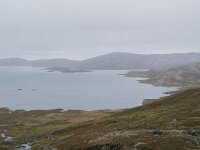 N, Innlandet, Oystre Slidre, Bygdin 2, Saxifraga-Willem van Kruijsbergen