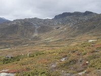 N, Innlandet, Oystre Slidre, Bygdin 3, Saxifraga-Willem van Kruijsbergen