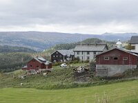 N, Innlandet, Oystre Slidre, Rogne 1, Saxifraga-Willem van Kruijsbergen