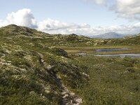 N, Innlandet, Sel, Klufttjonne 11, Saxifraga-Willem van Kruijsbergen