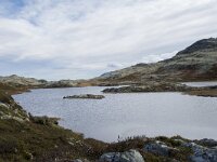 N, Innlandet, Sel, Klufttjonne 13, Saxifraga-Willem van Kruijsbergen