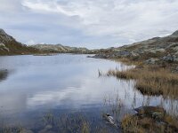 N, Innlandet, Sel, Klufttjonne 17, Saxifraga-Willem van Kruijsbergen