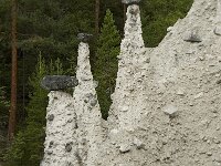 N, Innlandet, Sel, Kvitskriuprestene 4, Saxifraga-Willem van Kruijsbergen