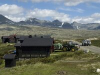 N, Innlandet, Sel, Mysuseter 20, Saxifraga-Jan van der Straaten