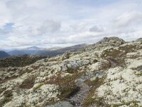 N, Innlandet, Sel, Mysuseter 56, Saxifraga-Willem van Kruijsbergen