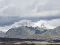 N, Innlandet, Sel, Mysuseter 64, Saxifraga-Willem van Kruijsbergen
