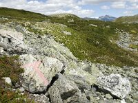 N, Innlandet, Sel, Peer Gynt Hytta 1, Saxifraga-Jan van der Straaten