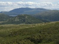 N, Innlandet, Sel, Peer Gynt Hytta 10, Saxifraga-Jan van der Straaten