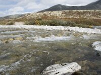 N, Innlandet, Sel, Peer Gynt Hytta 112, Saxifraga-Willem van Kruijsbergen