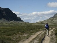 N, Innlandet, Sel, Peer Gynt Hytta 12, Saxifraga-Jan van der Straaten