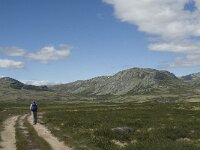 N, Innlandet, Sel, Peer Gynt Hytta 13, Saxifraga-Jan van der Straaten