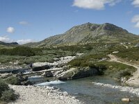 N, Innlandet, Sel, Peer Gynt Hytta 17, Saxifraga-Jan van der Straaten