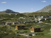 N, Innlandet, Sel, Peer Gynt Hytta 25, Saxifraga-Jan van der Straaten