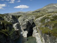 N, Innlandet, Sel, Peer Gynt Hytta 28, Saxifraga-Jan van der Straaten