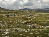 N, Innlandet, Sel, Peer Gynt Hytta 44, Saxifraga-Willem van Kruijsbergen