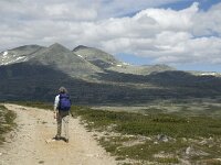 N, Innlandet, Sel, Peer Gynt Hytta 6, Saxifraga-Jan van der Straaten