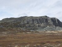 N, Innlandet, Sel, Peer Gynt Hytta 79, Saxifraga-Willem van Kruijsbergen