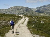 N, Innlandet, Sel, Peer Gynt Hytta 8, Saxifraga-Jan van der Straaten