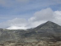 N, Innlandet, Sel, Peer Gynt Hytta 81, Saxifraga-Willem van Kruijsbergen