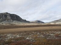 N, Innlandet, Sel, Peer Gynt Hytta 87, Saxifraga-Willem van Kruijsbergen