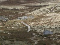 N, Innlandet, Sel, Peer Gynt Hytta 95, Saxifraga-Willem van Kruijsbergen