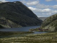 N, Innlandet, Sel, Rondvassbu 18, Saxifraga-Jan van der Straaten