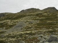 N, Innlandet, Sel, Solsidevassberget 3, Saxifraga-Willem van Kruijsbergen