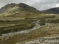 N, Innlandet, Sel, Solsidevassberget 8, Saxifraga-Willem van Kruijsbergen