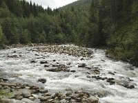 N, Innlandet, Sel, Ula river 1, Saxifraga-Willem van Kruijsbergen