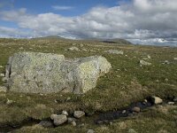 N, Innlandet, Vaga, Bygdin 3, Saxifraga-Jan van der Straaten