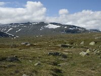 N, Innlandet, Vaga, Bygdin 8, Saxifraga-Jan van der Straaten