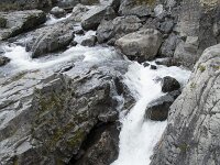 N, Innlandet, Vaga, Randsverk, Sjoa river 2, Saxifraga-Willem van Kruijsbergen