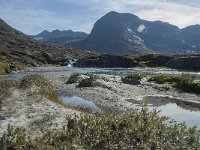 N, More og Romsdal, Rauma, Alnesvatnet 65, Saxifraga-Annemiek Bouwman