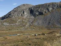 N, More og Romsdal, Rauma, Langfjelldalen 4, Saxifraga-Willem van Kruijsbergen