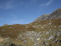 N, More og Romsdal, Rauma, Langfjelldalen 7, Saxifraga-Willem van Kruijsbergen