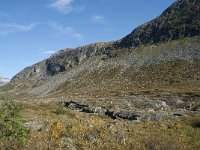 N, More og Romsdal, Rauma, Langfjelldalen 8, Saxifraga-Annemiek Bouwman