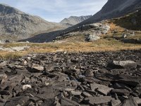 N, More og Romsdal, Rauma, Trollstigen 35, Saxifraga-Willem van Kruijsbergen