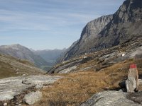 N, More og Romsdal, Rauma, Trollstigen 38, Saxifraga-Willem van Kruijsbergen