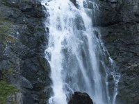 N, More og Romsdal, Rauma, Trollstigen 58, Saxifraga-Annemiek Bouwman